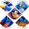 Hongray Nitrile Gloves