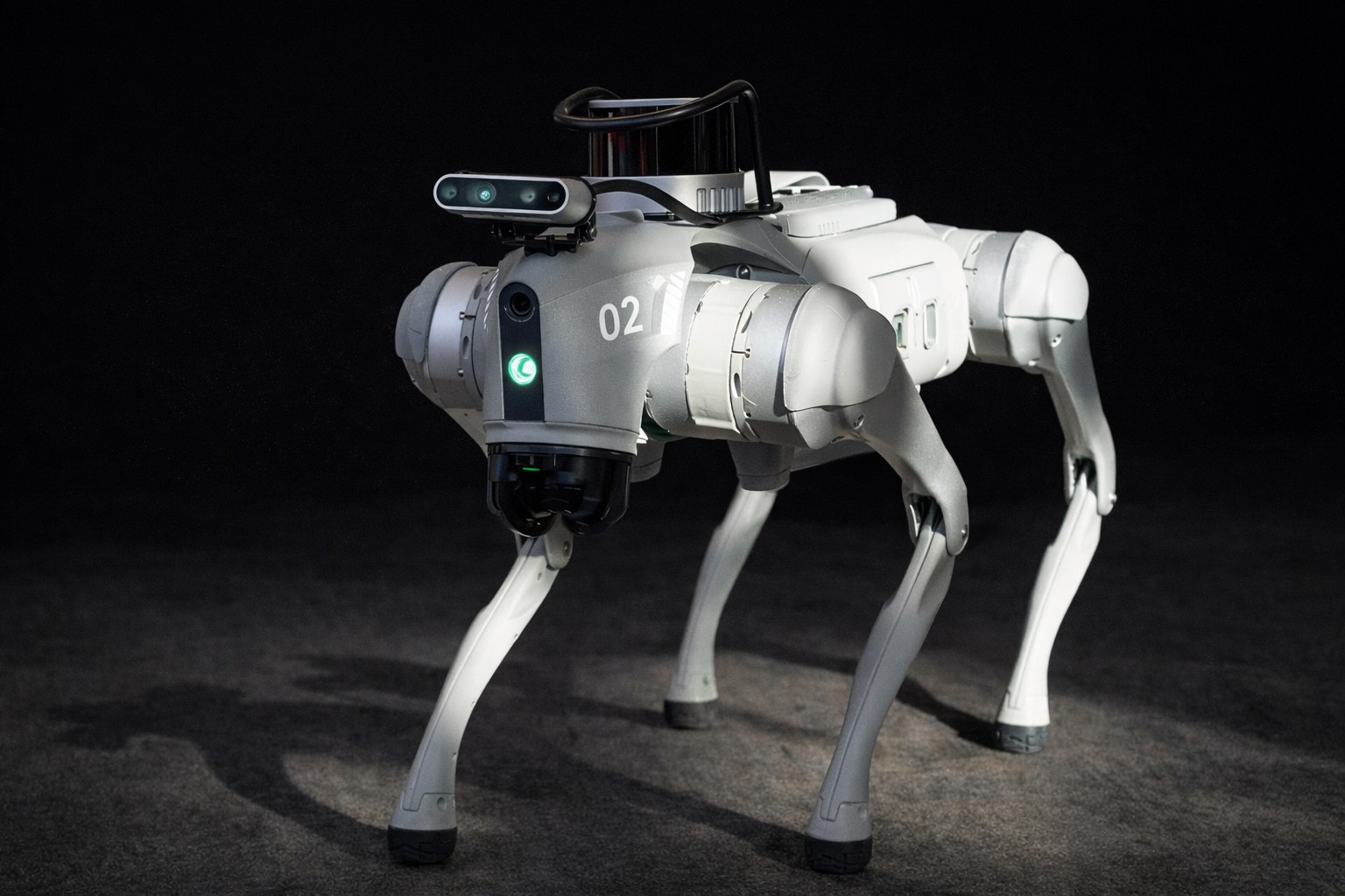 Quadruped Robot